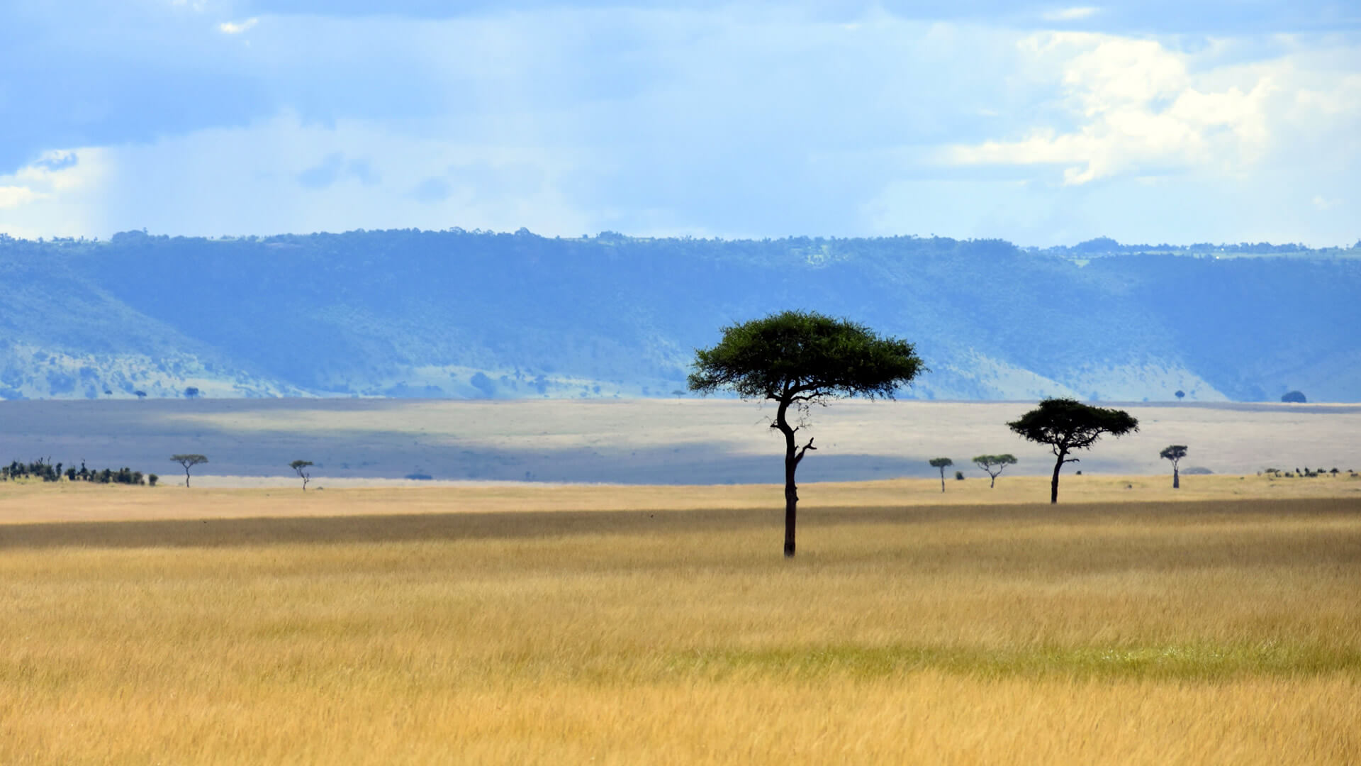Tanzania 