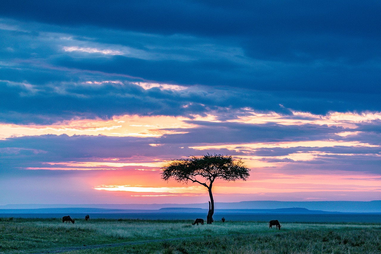 4-Day Nyika Safari – Mara Escape