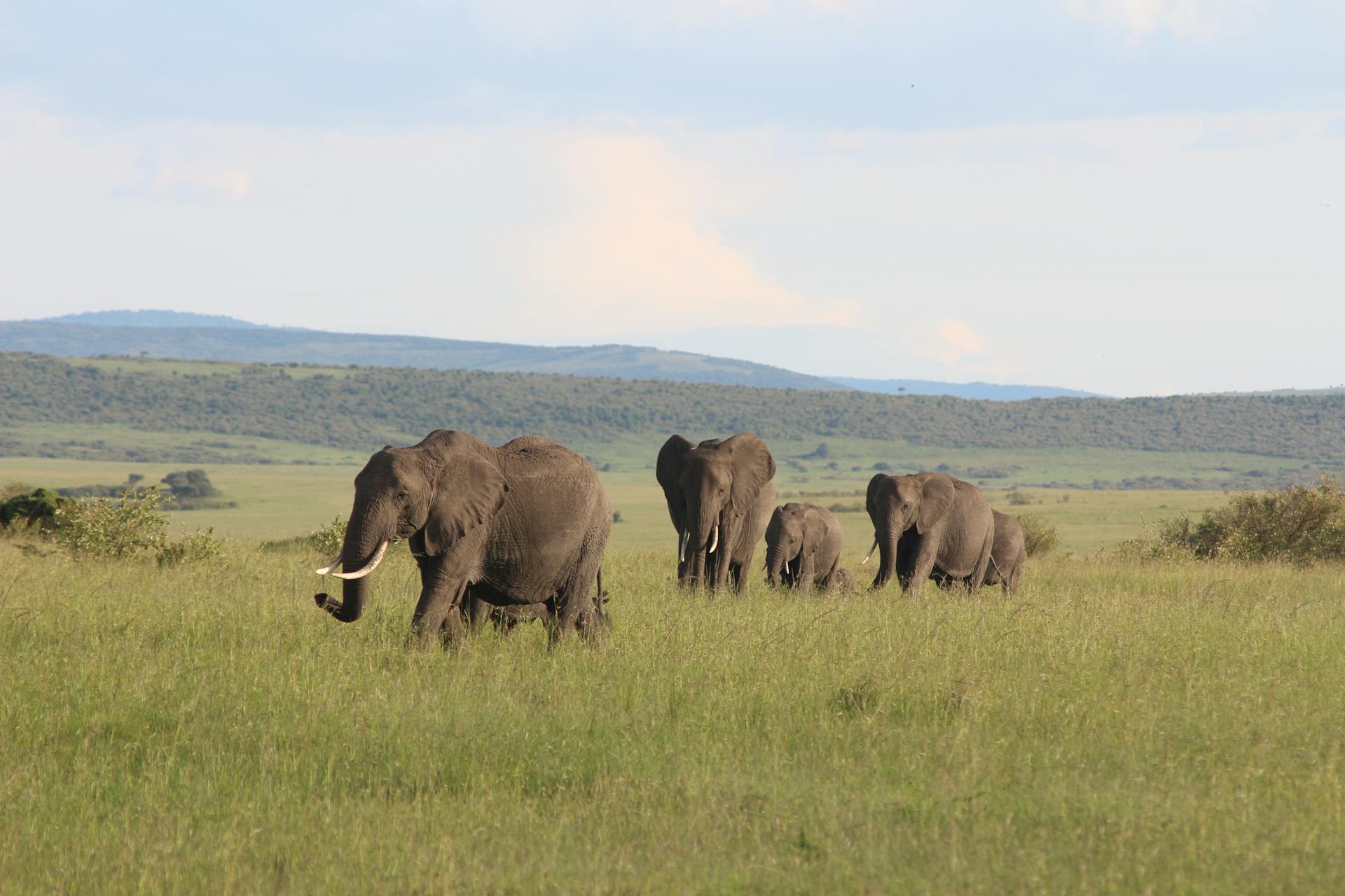 9-Day Maono Safari – Visions of the Land