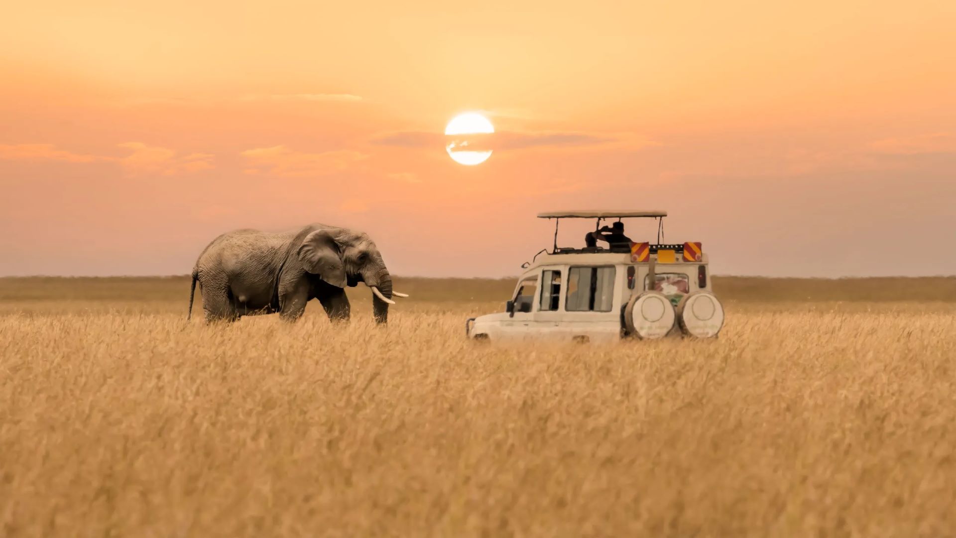13-Day Mwangaza Safari – Light Over Kenya’s Wild Heart