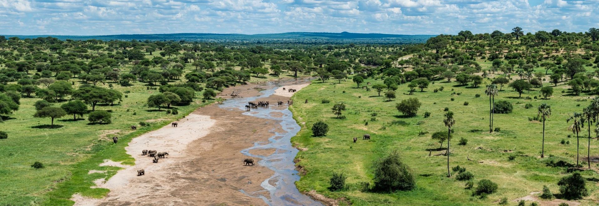 7-Day Northern Tanzania Safari – Serengeti, Ngorongoro Crater, Tarangire & Lake Eyasi