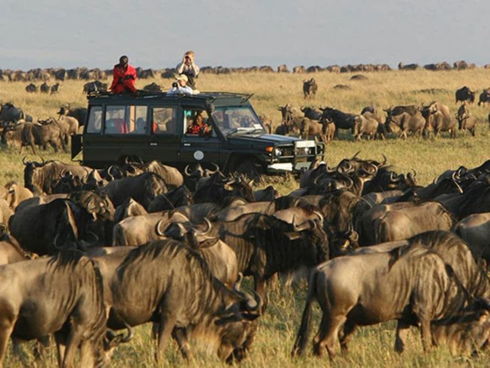 8-Day Heart of Tanzania Safari