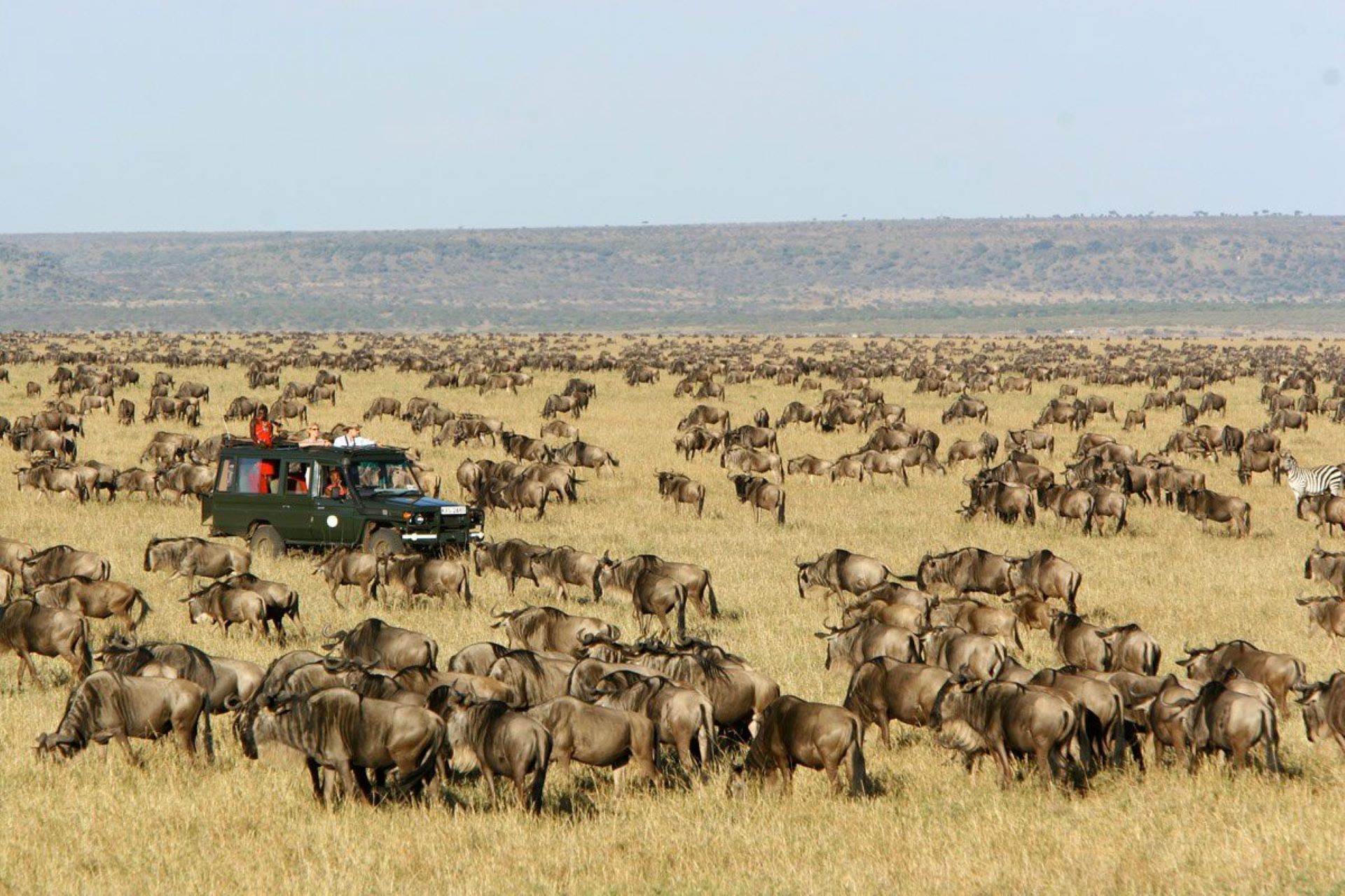 3-Day Masai Mara Camping Safari