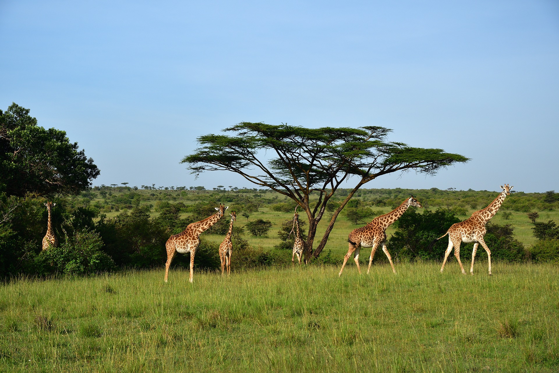 5-Day Great Rift Valley Camping Safari