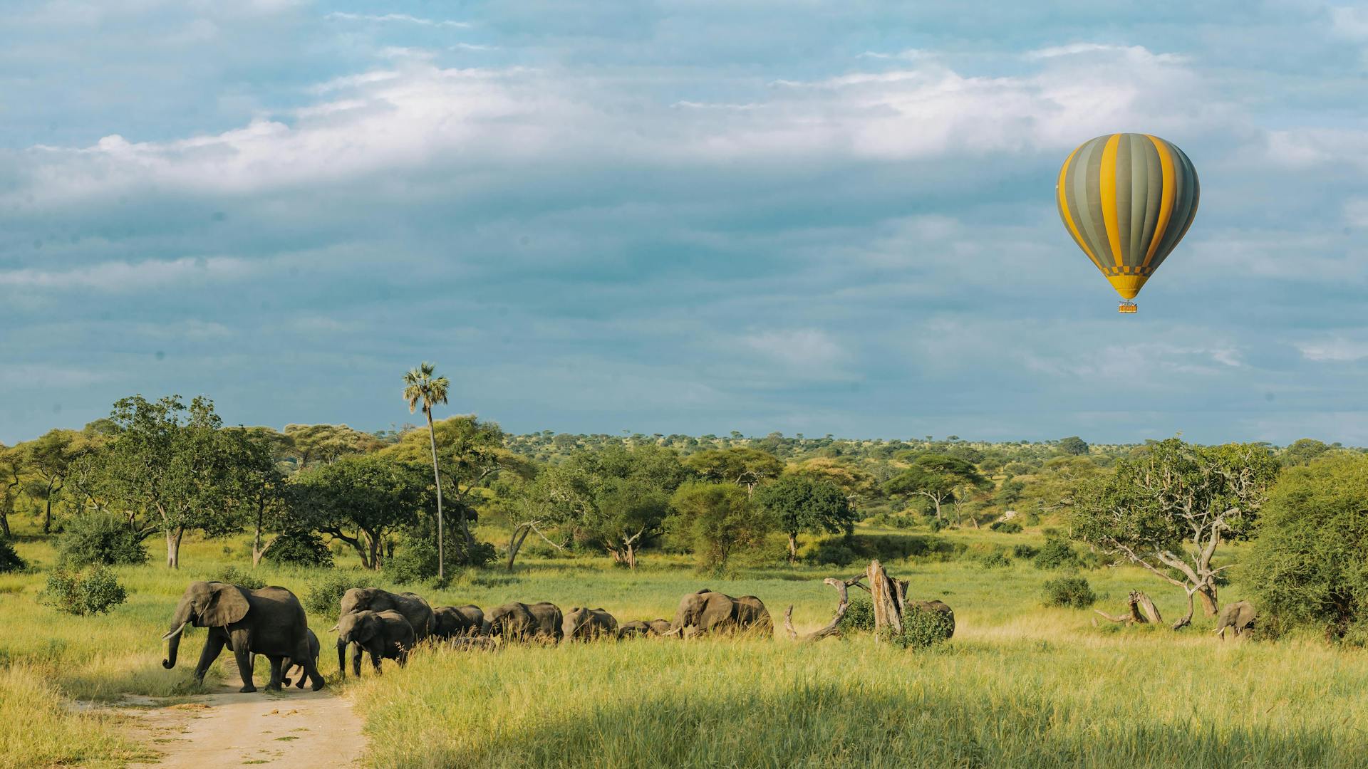 8-Day Whispers of the Wild Safari