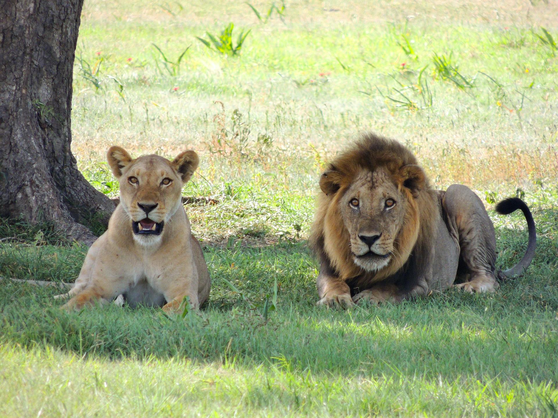 8-Day Journey Beyond the Crater Safari