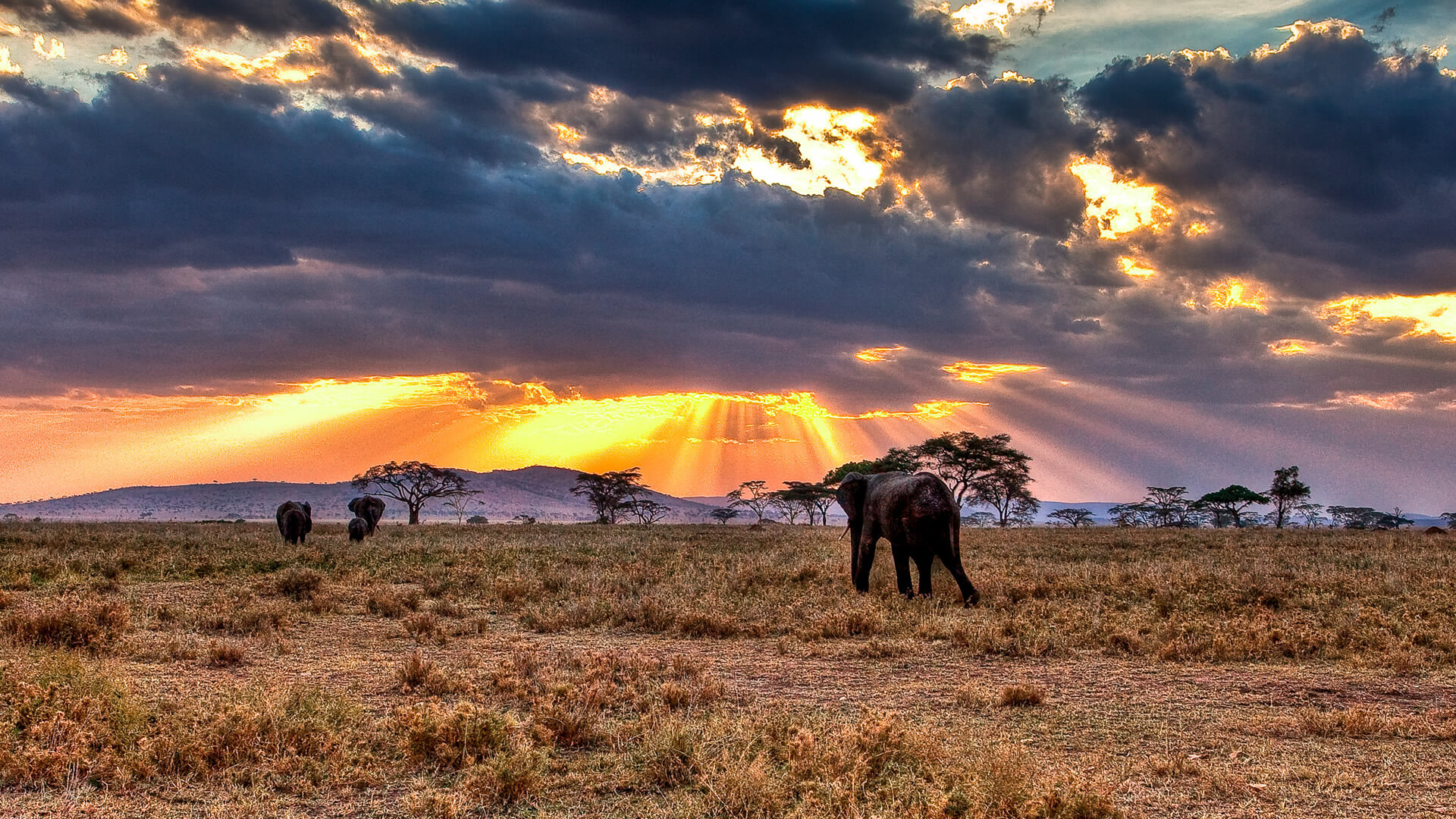 6-Day Endless Plains Safari