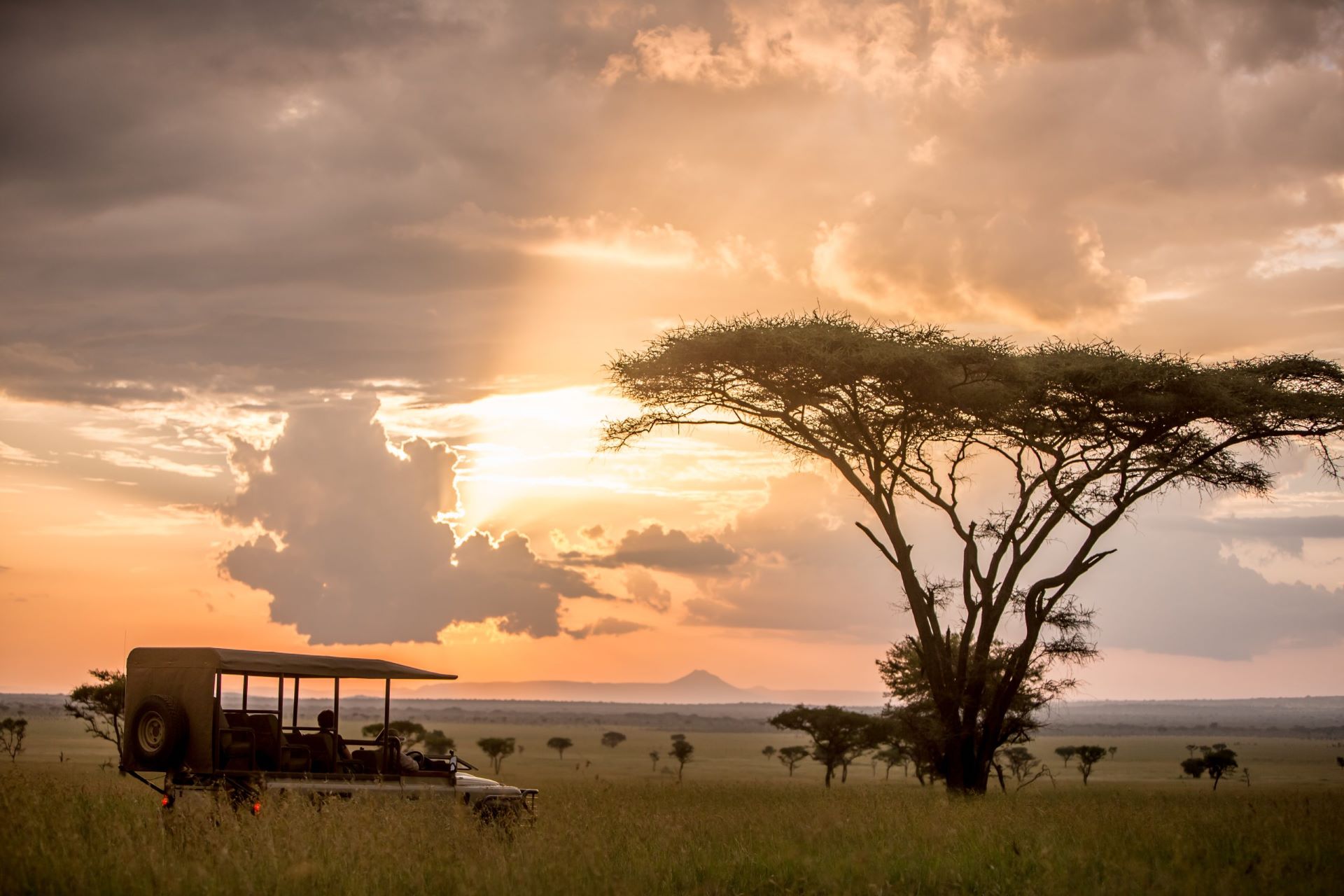 7 Days Tanzania Wildlands Expedition Safari