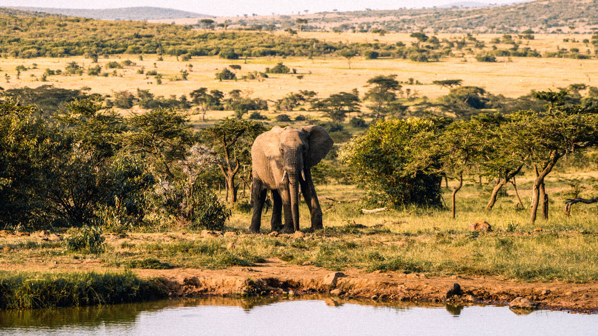3-Day Kenya Safari Holiday – Masai Mara National Reserve Private Safari1