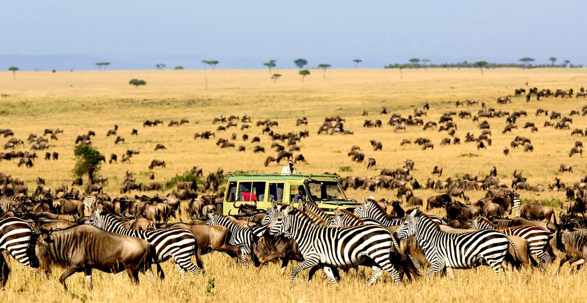 3-Day Masai Mara Wildlife Safari Adventure