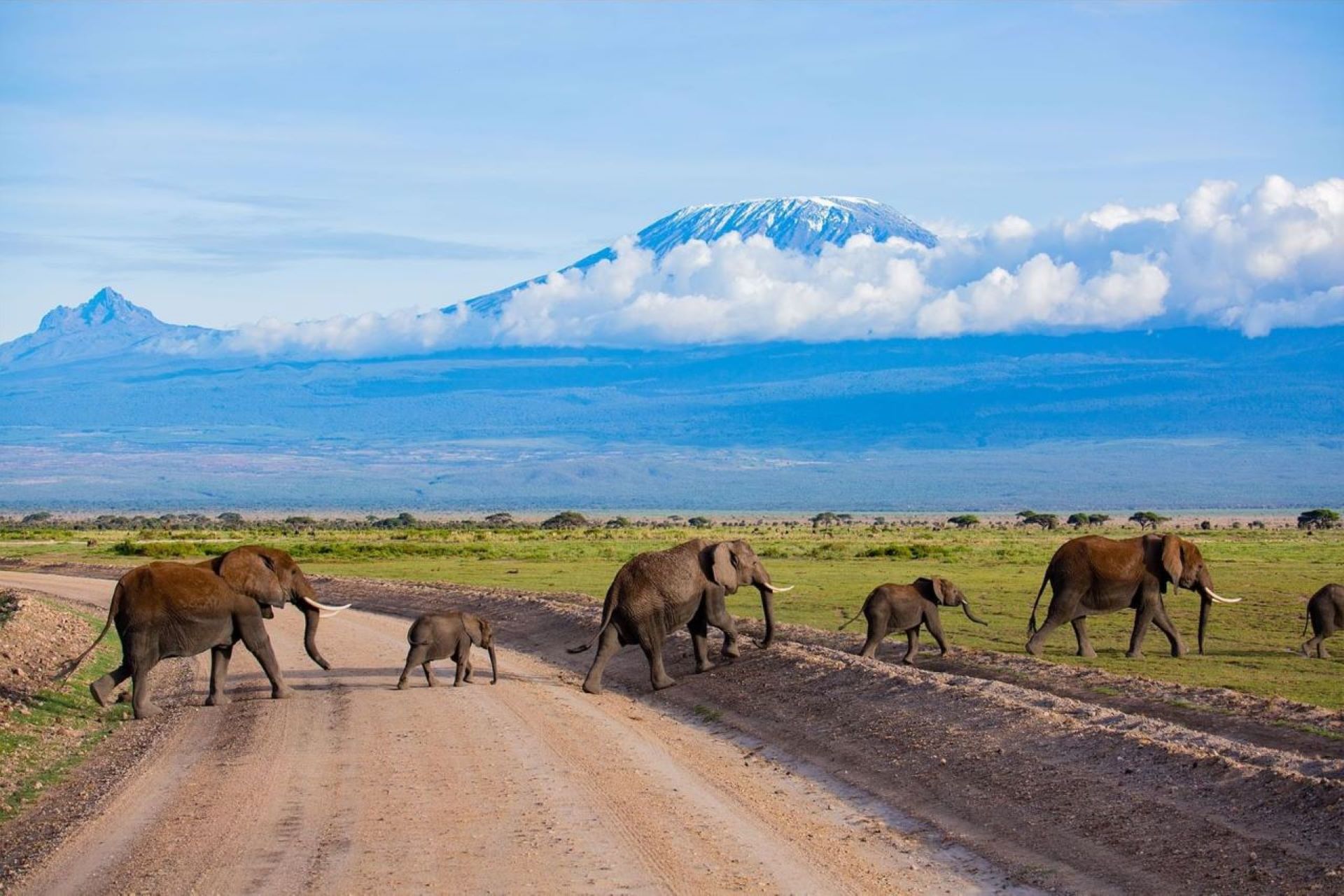 8 Days Savannah, Lakes & Kilimanjaro