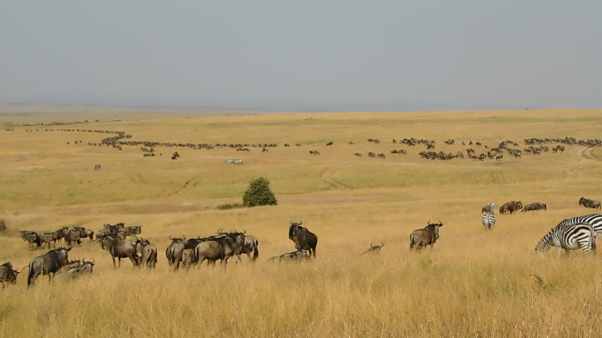 7 Days - Mara, Rhinos & Kilimanjaro Trails