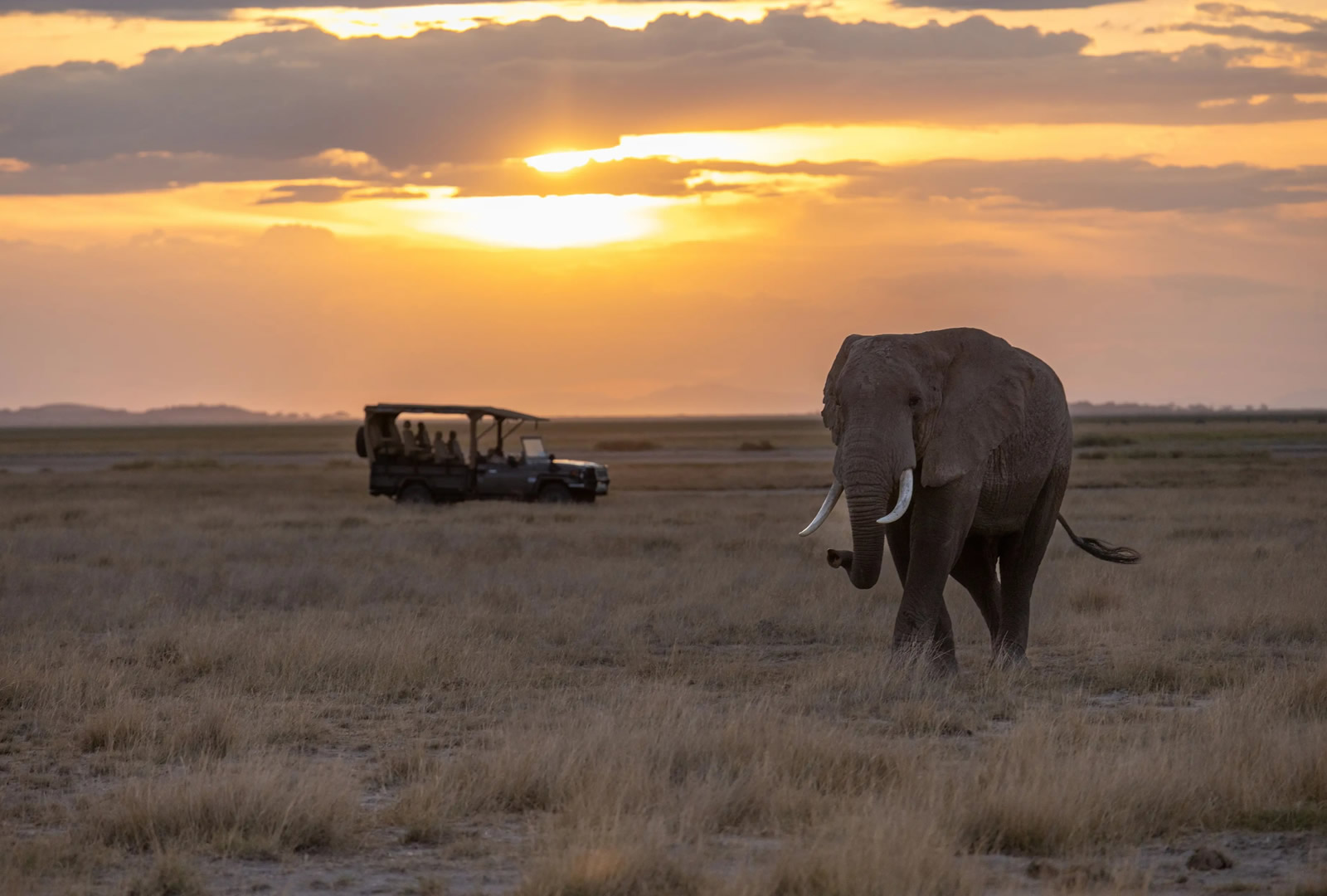 5 Day Nairobi, Masai Mara & Lake Nakuru Luxury Safari | Private Big Five Wildlife Safari in Kenya