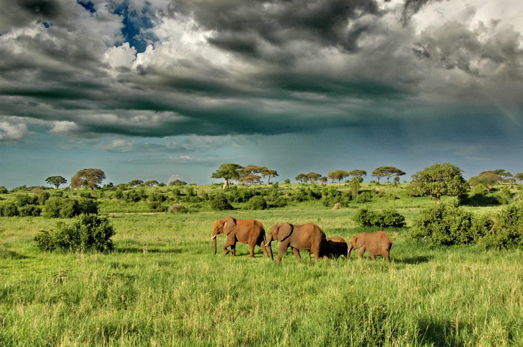 6 Days Savannah Wilderness Outposts