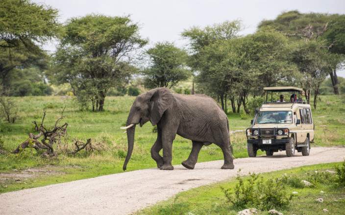 7 Days Tanzania Savannah Crossroads Safari