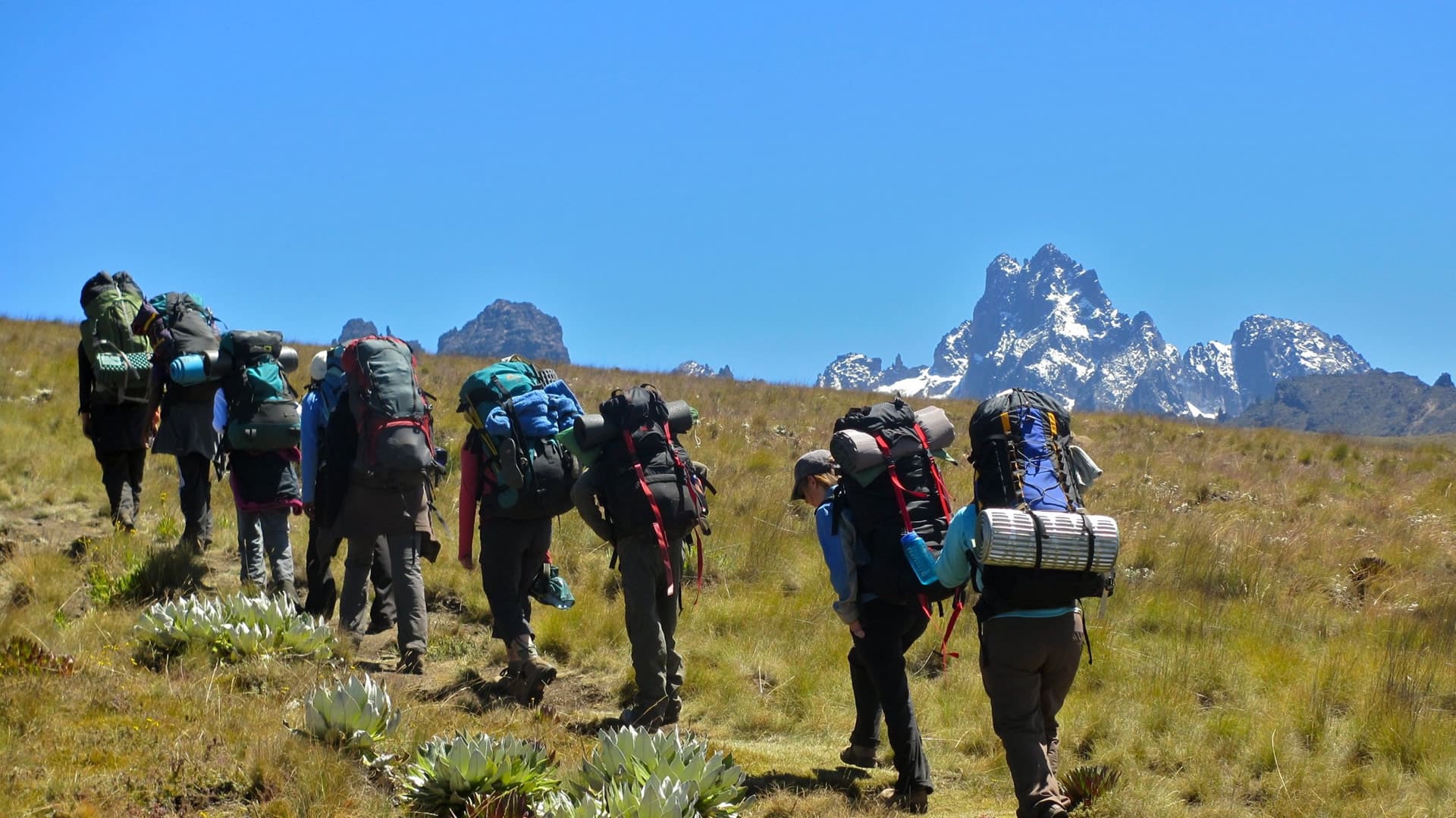 6 Days - Sirimon Route (4-Day Mount Kenya Hike + 2 Nights in Nairobi)