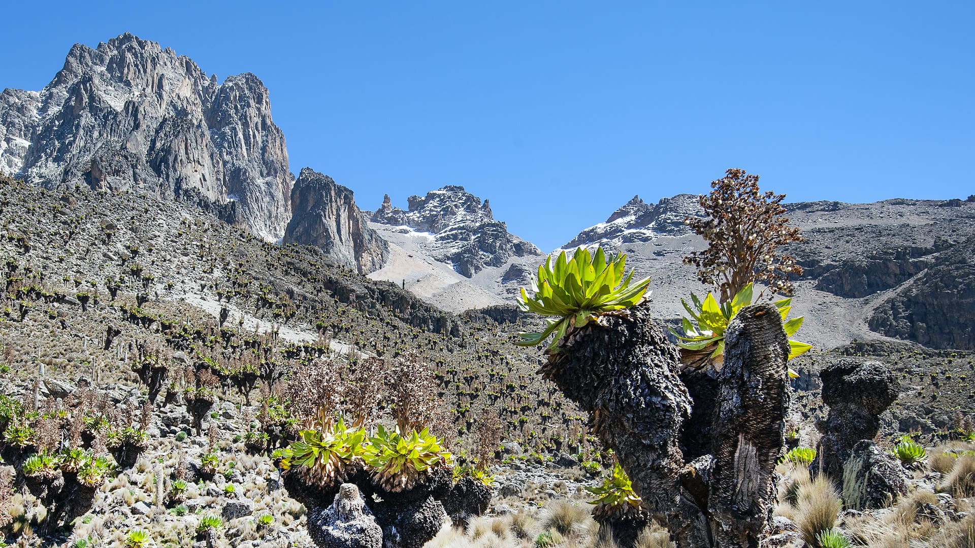 7 Days - Chogoria–Sirimon Route (5-Day Mount Kenya Trek + 2 Nights in Nairobi)