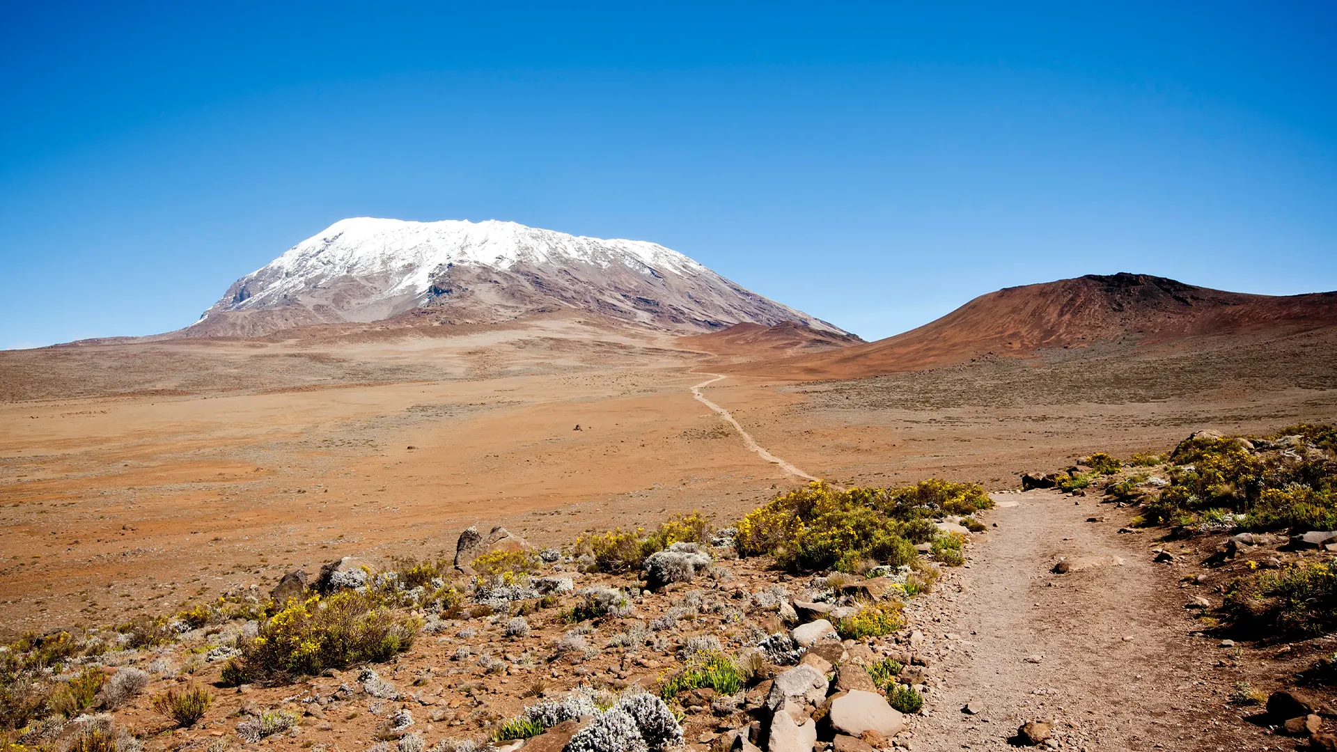 8 Days Rongai Route (6-Day Trek + 2 Nights in Arusha)